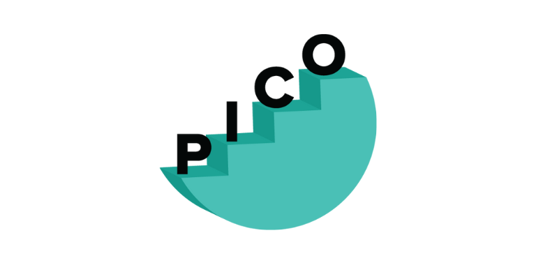 PICO logo Icon