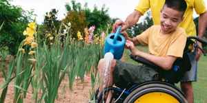 A boy in a wheelchair smiles as he waters the flowers with a watering can. Someone stands behind him helping with the task.
